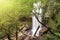 Waterfall near Ginseng Camp in Maliau Basin