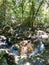 Waterfall near Lagoa do Peri, reacheable by hiking Gurita hiking path in Florianopolis, Brazil