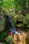 Waterfall in Nosy Mangabe, Madagascar wilderness