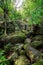 Waterfall in Nosy Mangabe, Madagascar wilderness