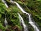 Waterfall in Olympic Forest, Washington State, USA