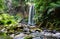 Waterfall over fern-covered rocks