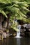 Waterfall over sandstone rocks into garden pond surrounded by tree ferns