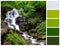 Waterfall with palette color swatches