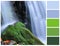 Waterfall with palette color swatches