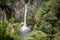 Waterfall in patagonian forest