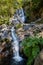 Waterfall Pedra Ferida