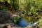 Waterfall Pedra Ferida