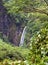 Waterfall. Polynesia. Tahiti