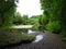 Waterfall Pond Cwm Darran Wildlife Park South Wales