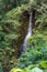 Waterfall pouring down from dense lush forest