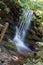 Waterfall pouring from stream in dense forest