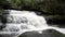 Waterfall rainforest