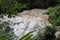 waterfall in rainforest. cascade in forest. water flowing in tropical jungle