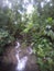 Waterfall in rainforest Dominica