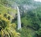Waterfall in rainforest elevated view