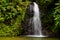 Waterfall in the rainforest of Martinique