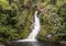 Waterfall in rainforest in New Zealand