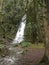 Waterfall in a rainforest in the pacific northwest.