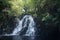 Waterfall in a Rainforest in  Spain