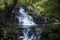 Waterfall in a Rainforest in Spain