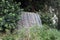 A waterfall in the ramat gan national park flows among the green plants