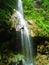 Waterfall Rappelling in Hyrcanian forest , Mazandaran , Iran