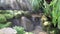 Waterfall in relaxation tropical garden