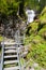 Waterfall Riesachfalle near Dachstein, Alps, Austria