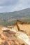 Waterfall in Riotinto mining area, Andalusia, Spain