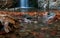 Waterfall and river flowing with maple leaves on the rocks on the river in Autumn