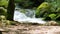 Waterfall Roaring Fork Nature Trail