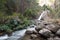 Waterfall and rock foreground in the forest