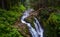 Waterfall with Rock and Moss and tree at Sol Duc Fall