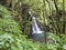 Waterfall Salto de Prego in the rainforest jungle at the end of the hiking trail in Faial da Terra, Sao Miguel island in