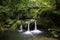 waterfall the schiessentumpel and bridge in luxembourg