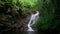 Waterfall Seychelles Mahe Island palm trees and river