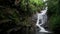 Waterfall on Seychelles. Mahe Island, palm trees and river. Panoramic view.