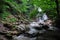 Waterfall in a shady forest