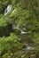 Waterfall, Shenandoah National Park