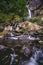 Waterfall Silver Falls