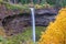 Waterfall in Silver Falls Park, Oregon with vibrant autumn fall colors.