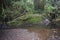 Waterfall sliding into a peaceful pool amidst a tropical rain forest