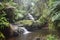 Waterfall sliding into a peaceful pool amidst a tropical rain forest