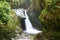 Waterfall on small river in forest ravine