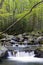 A Waterfall in Smoky Mountain National Park