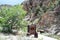 Waterfall at Soda Dam in Jemez Springs, New Mexico