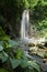 Waterfall St Lucia Botanical Gardens