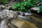 Waterfall with stone of green moss in rain forest , Kiriwong Vil