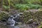 Waterfall and stone wall with moss in forest at Garajonay park. La Gomera, Canary Islands.